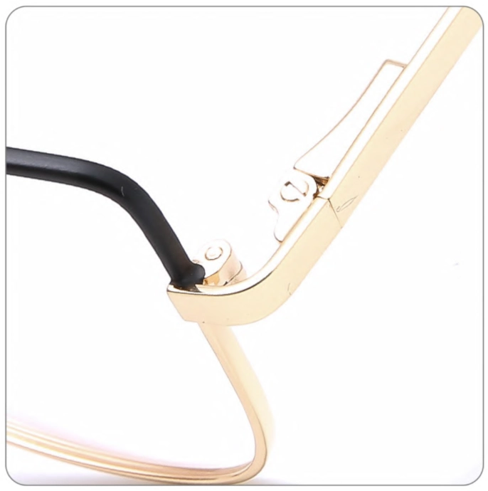 LT_1895_detail-1.webp