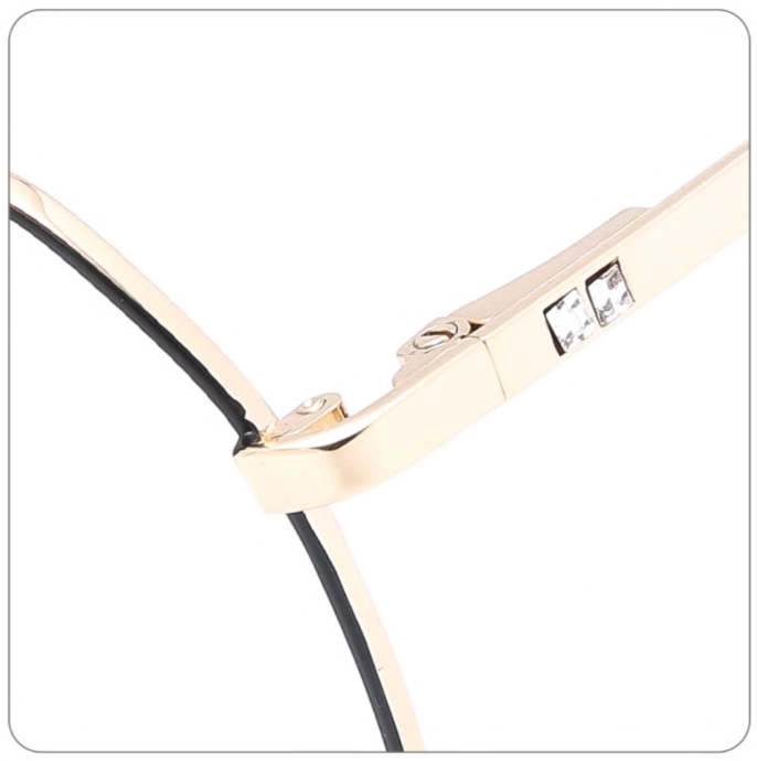 LT_1899_detail-1.webp