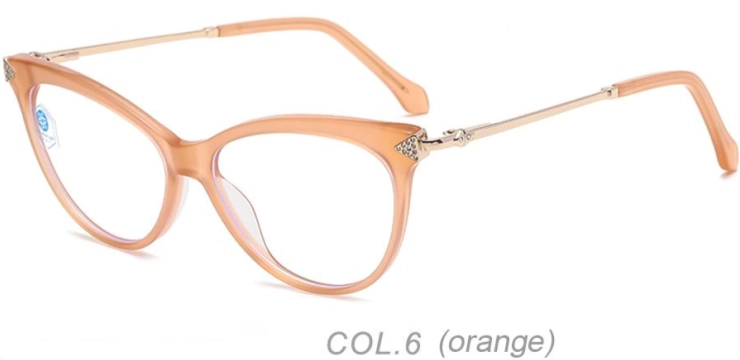 LT_LA9953_C6-1.webp
