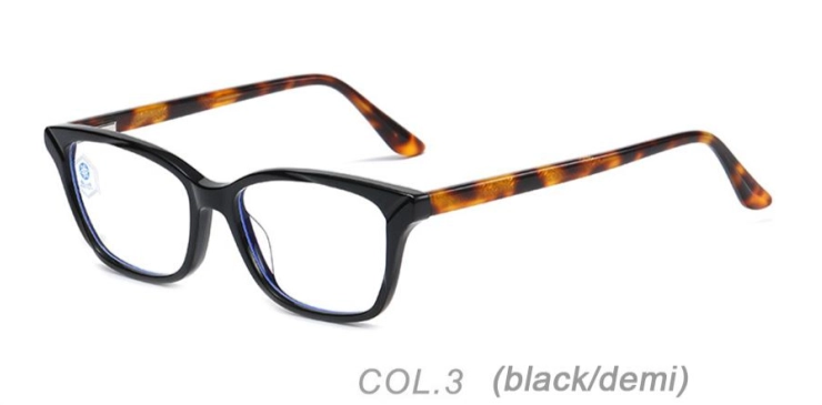 LT_WP12_C3-1.webp